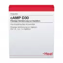 cAMP D30, Verdünnung zur Injektion, ампулы