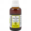 КОМПЛЕКС UVA URSI NESTM 26