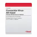 Вирус Коксаки-A9-Injeel