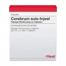 Cerebrum suis-Injeel, ампулы