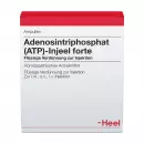 Adenosintriphosphat (ATP)-Injeel forte, ампулы