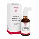 Echinacea Mund- und Rachenspray, Эхинацея спрей для рта и горла