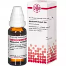 ANHALONIUM LEWINII D30