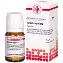 ALLIUM CEPA D12