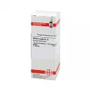 Allium Cepa D 12 Разведение