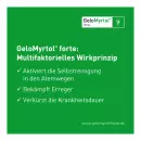 GeloMyrtol forte Weichkapseln, мягкие капсулы - Мягкие капсулы GeloMyrtol forte
