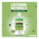 Ополаскиватель для полости рта Listerine Naturals для защиты десен - Ополаскиватель для полости рта Listerine Naturals для защиты десен