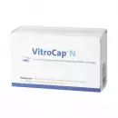 VitroCap N Kapseln, ВитроКап N, капсулы при дегенерации стекловидного тела глаз