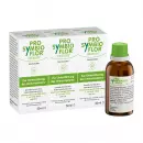 Pro-Symbioflor Immun Tropfen, капли