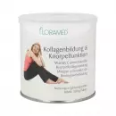 Образование коллагена с флорамедом и функция хряща