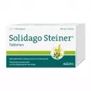 Solidago Штайнер