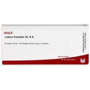 LOBUS FRONTALIS GL D6, ампулы