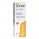 Beecraft Propolis Mund- und Rachenspray, спрей для рта и горла с прополисом
