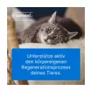 Врач-травматолог из США. ветеринар. Таблетки - Врач-травматолог из США. ветеринар. Таблетки
