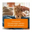 Кофермент композитум ad нас. ветеринар. Ампулы - Кофермент композитум ad нас. ветеринар. Ампулы