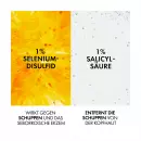Аптечка для шампуня от перхоти Vichy Dercos - Аптечка для шампуня от перхоти Vichy Dercos