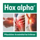 Жесткие капсулы Hox alpha - Жесткие капсулы Hox alpha