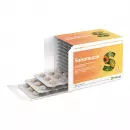 Таблетки Helixor Supportive Sanomucin - Таблетки Helixor Supportive Sanomucin