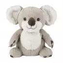 Теплая коала