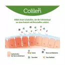 Капсулы Colilen IBS - Капсулы Colilen IBS