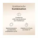 Солгар клюквенный плюс капсулы - Солгар клюквенный плюс капсулы