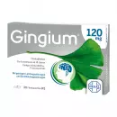 Gingium 120 мг Таблетки, покрытые оболочкой