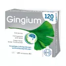 Gingium 120 мг Таблетки, покрытые оболочкой