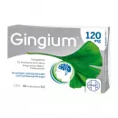 Gingium 120 мг Таблетки, покрытые оболочкой