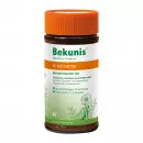 Bekunis Мгновенный Чай