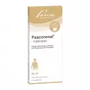 Pascorenal Injektopas Ampullen, Паскоренал ампулы