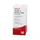 Oxalis e Planta Tota W 10% олеум