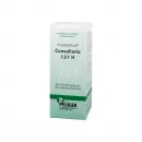 Pügerplex Convallaria 137 Ч Капли