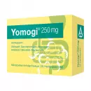 Yomogi 250 мг твердых капсул