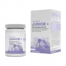 Lactobact Junior Месяц Упаковка